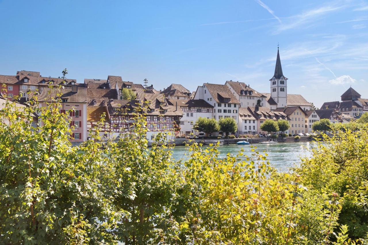 Am Hochrhein Desko Daire Gailingen Dış mekan fotoğraf